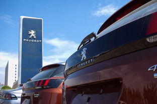 法系車 奢侈品牌榮耀與我無關